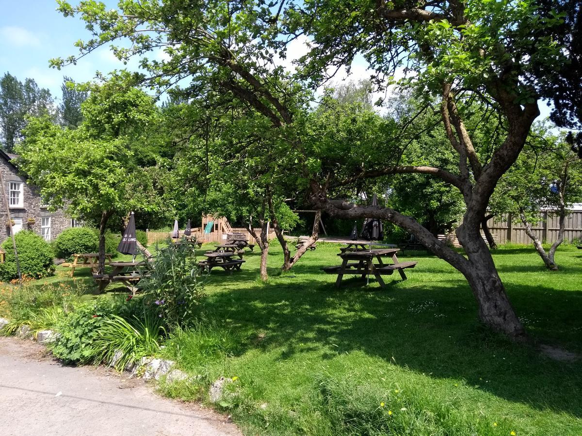 Llanerch 3*