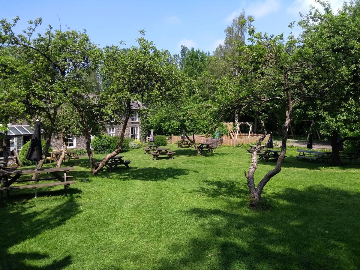 Llanerch Hotel 3*